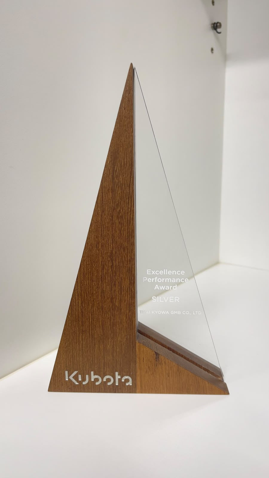 Receiving the Award - image 2