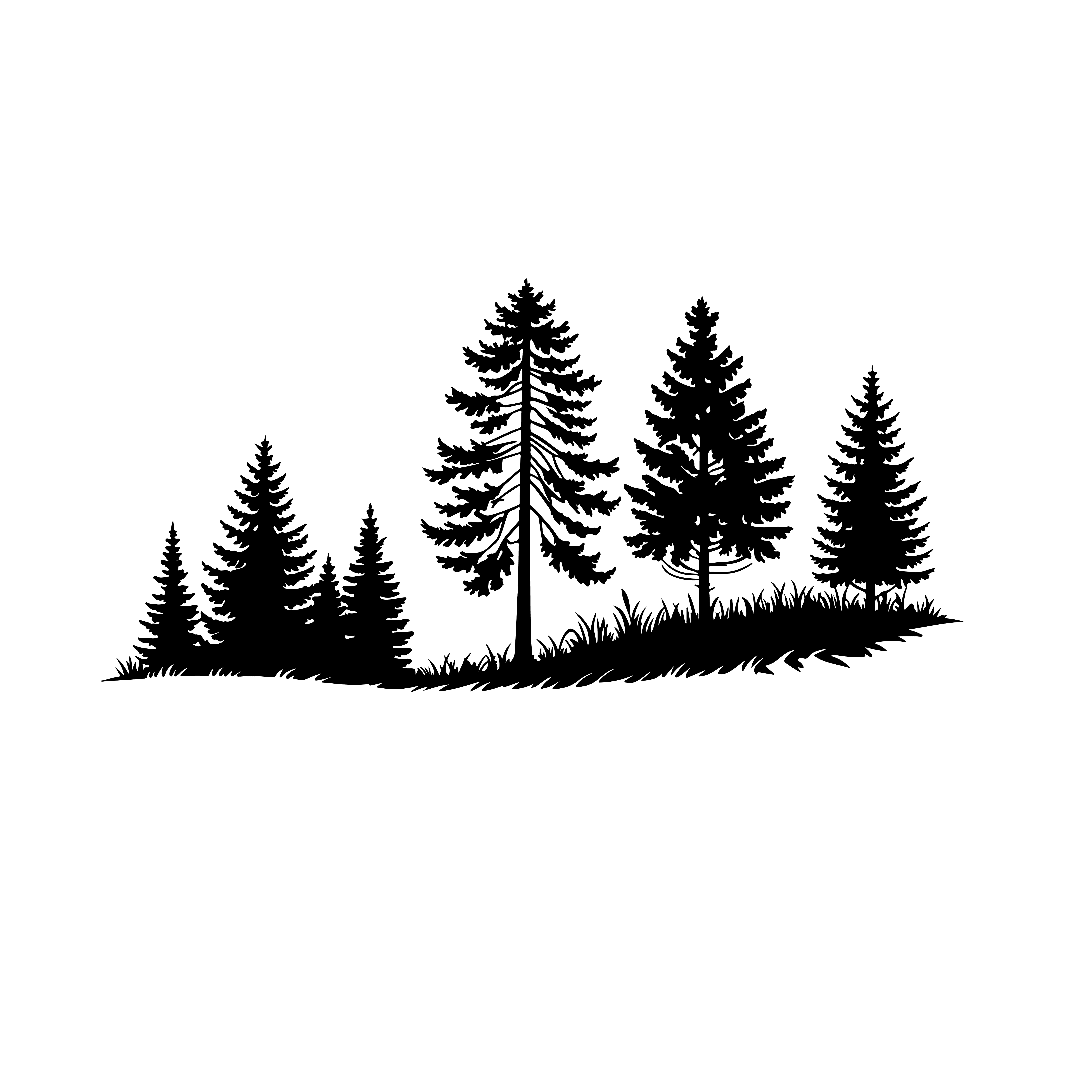 test1